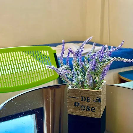 Comfortable In Summer Breeze Slantschew brjag