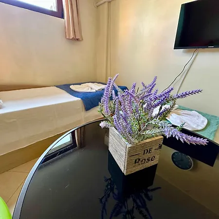 Apartment Comfortable In Summer Breeze