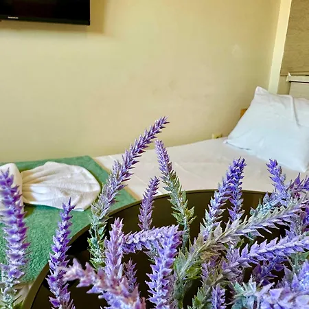 Apartment Comfortable In Summer Breeze